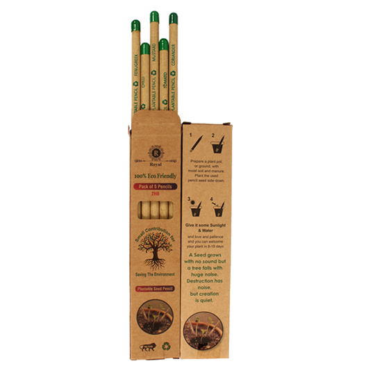 Plantable seed pencils in a kraft box of ten